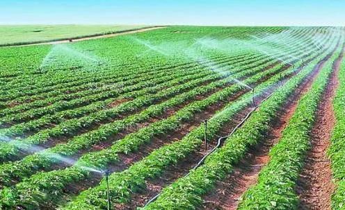 操操操我的逼视频农田高 效节水灌溉